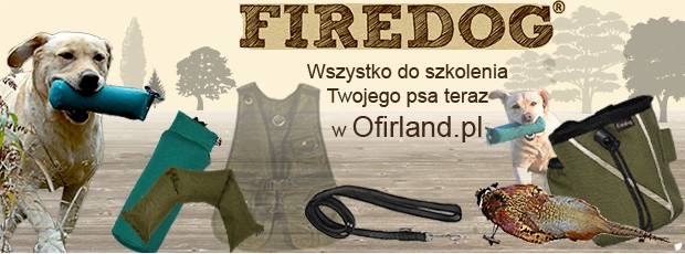 Firedog